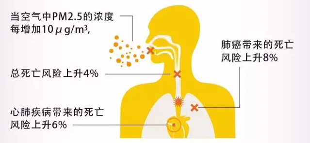 空氣凈化 空氣凈化