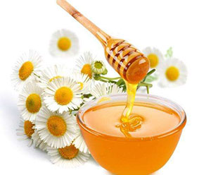 室內空氣凈化器-蜂蜜 室內空氣凈化器-蜂蜜