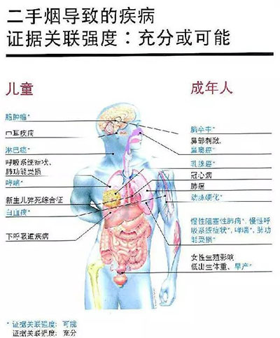 吸煙室空氣凈化機(jī) 吸煙室空氣凈化機(jī)